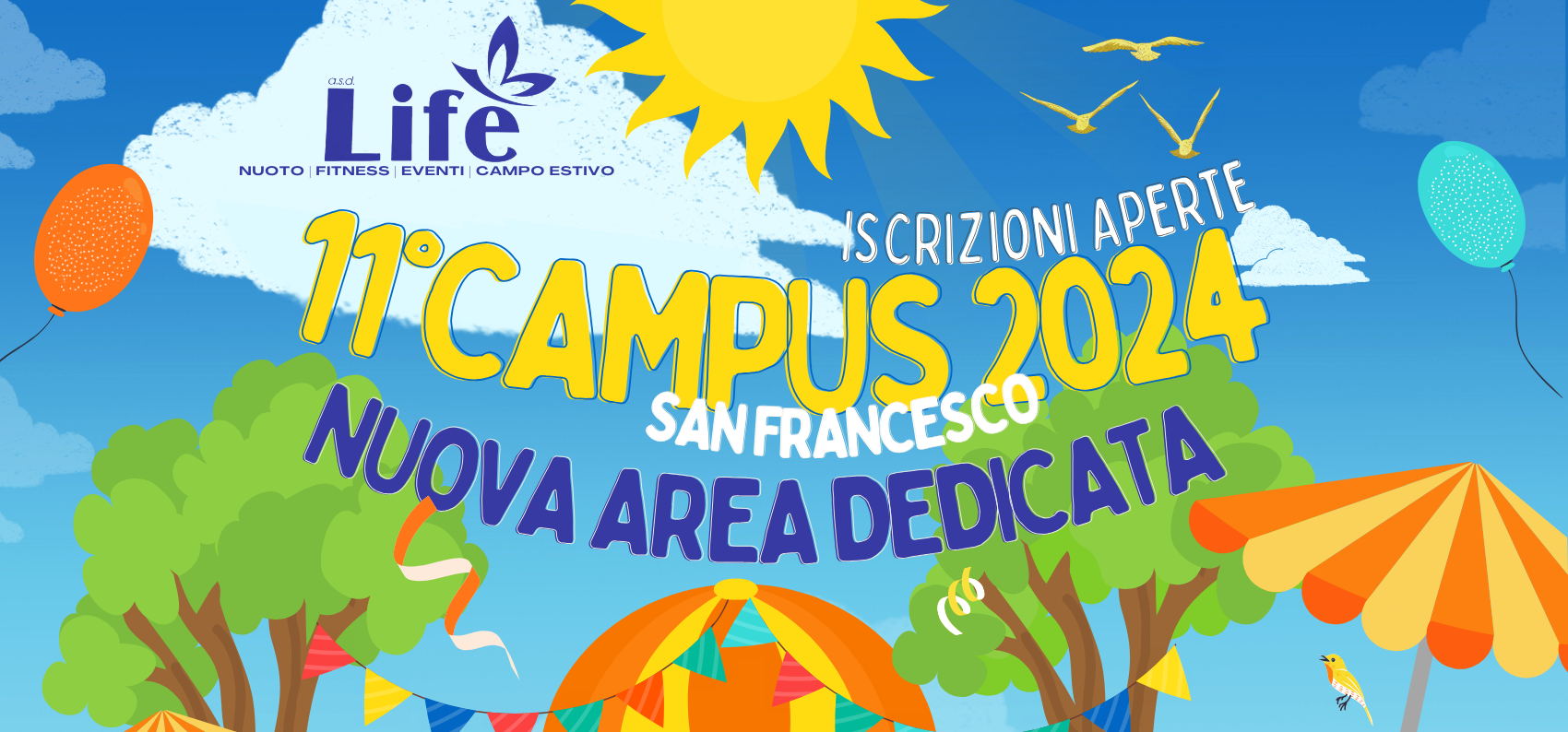 Piscina Life Cervinara, Campus 2024